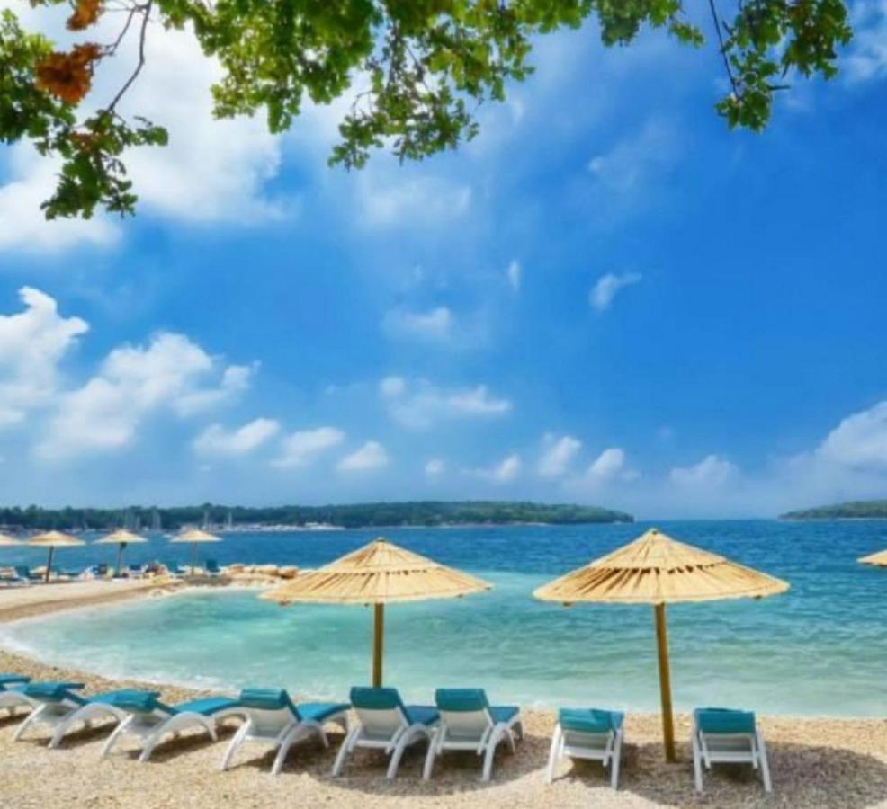 New!!! 2024 Marea Apartments With Xxl Sunny Terrace Porec Luaran gambar