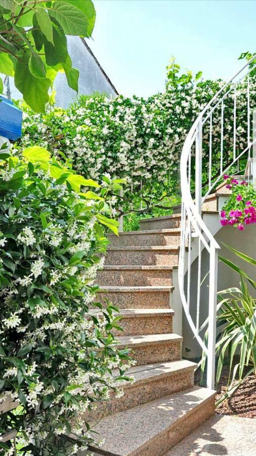 New!!! 2024 Marea Apartments With Xxl Sunny Terrace Porec Luaran gambar